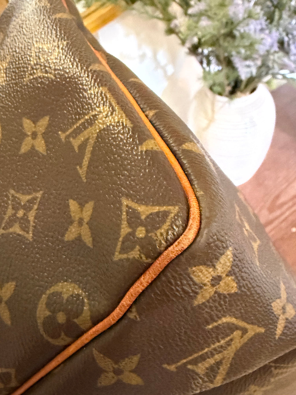Louis Vuitton Pre-loved Monogram Speedy 30 and Cosmetic Pouch Bundle Deal