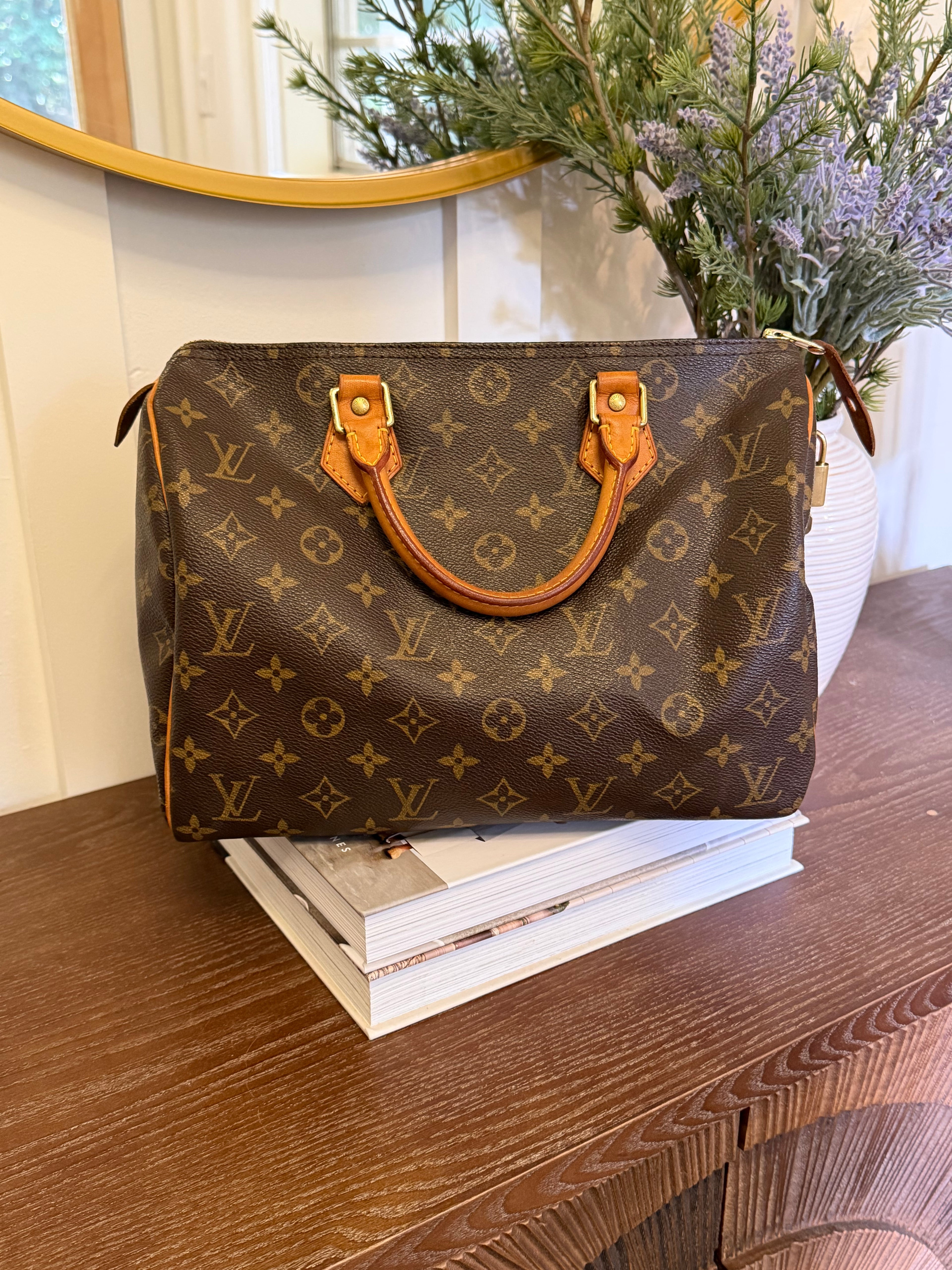 Louis Vuitton Pre-loved Monogram Speedy 30 and Cosmetic Pouch Bundle Deal