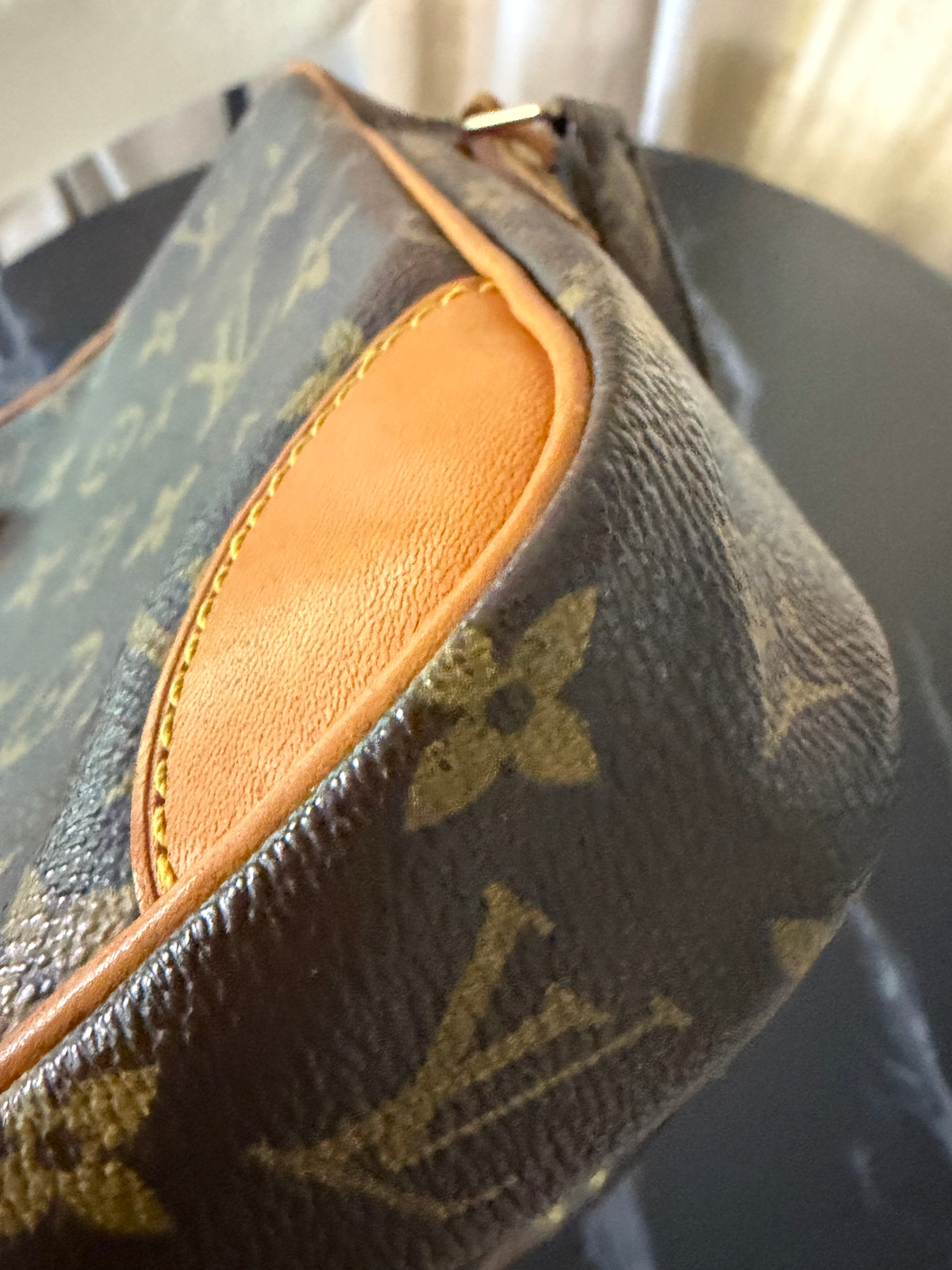 Louis Vuitton Pre-loved Monogram Danube PM Crossbody Bag | 2002 | Authentic