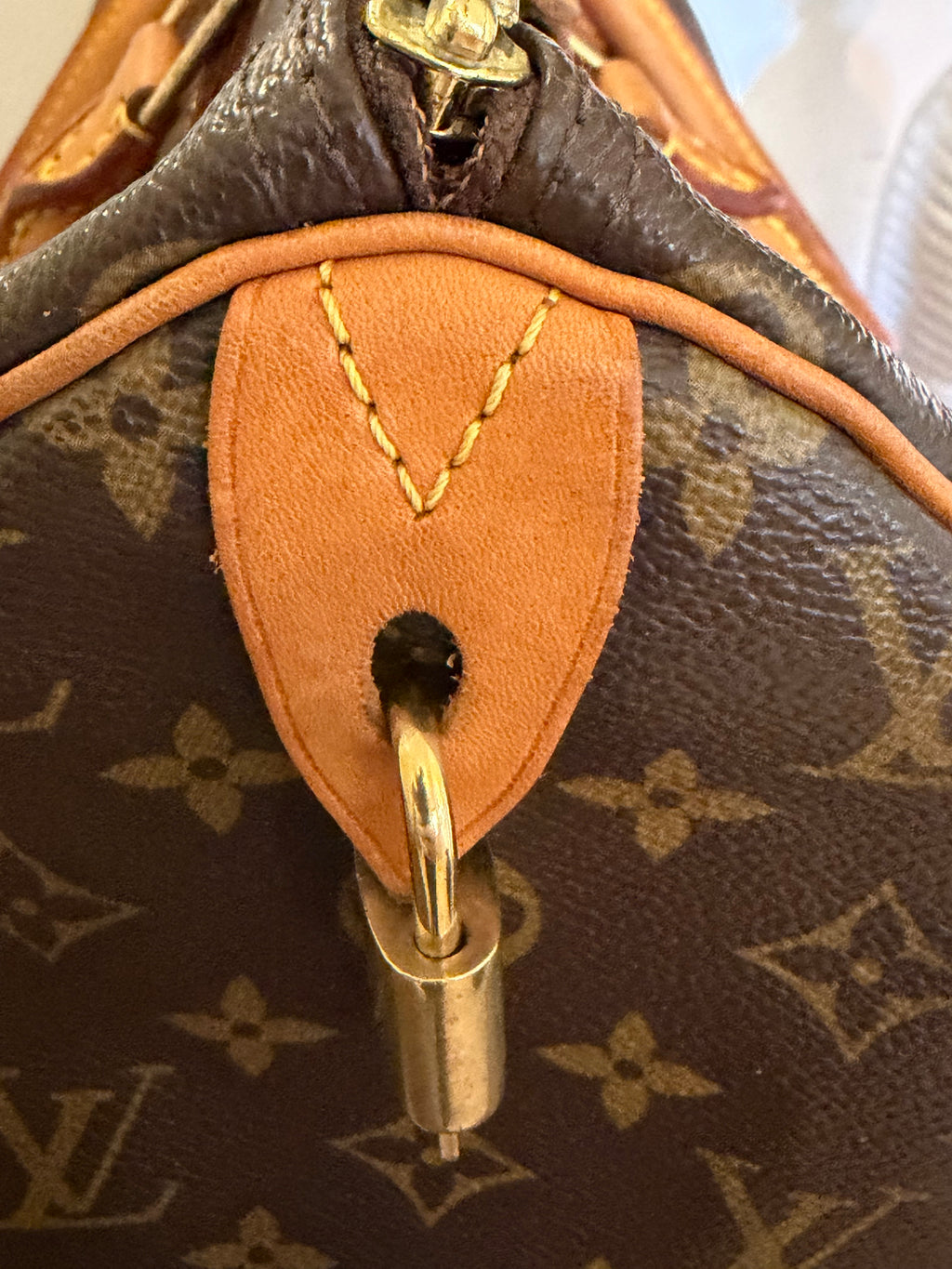Louis Vuitton Pre-loved Monogram Speedy 30 and Cosmetic Pouch Bundle Deal