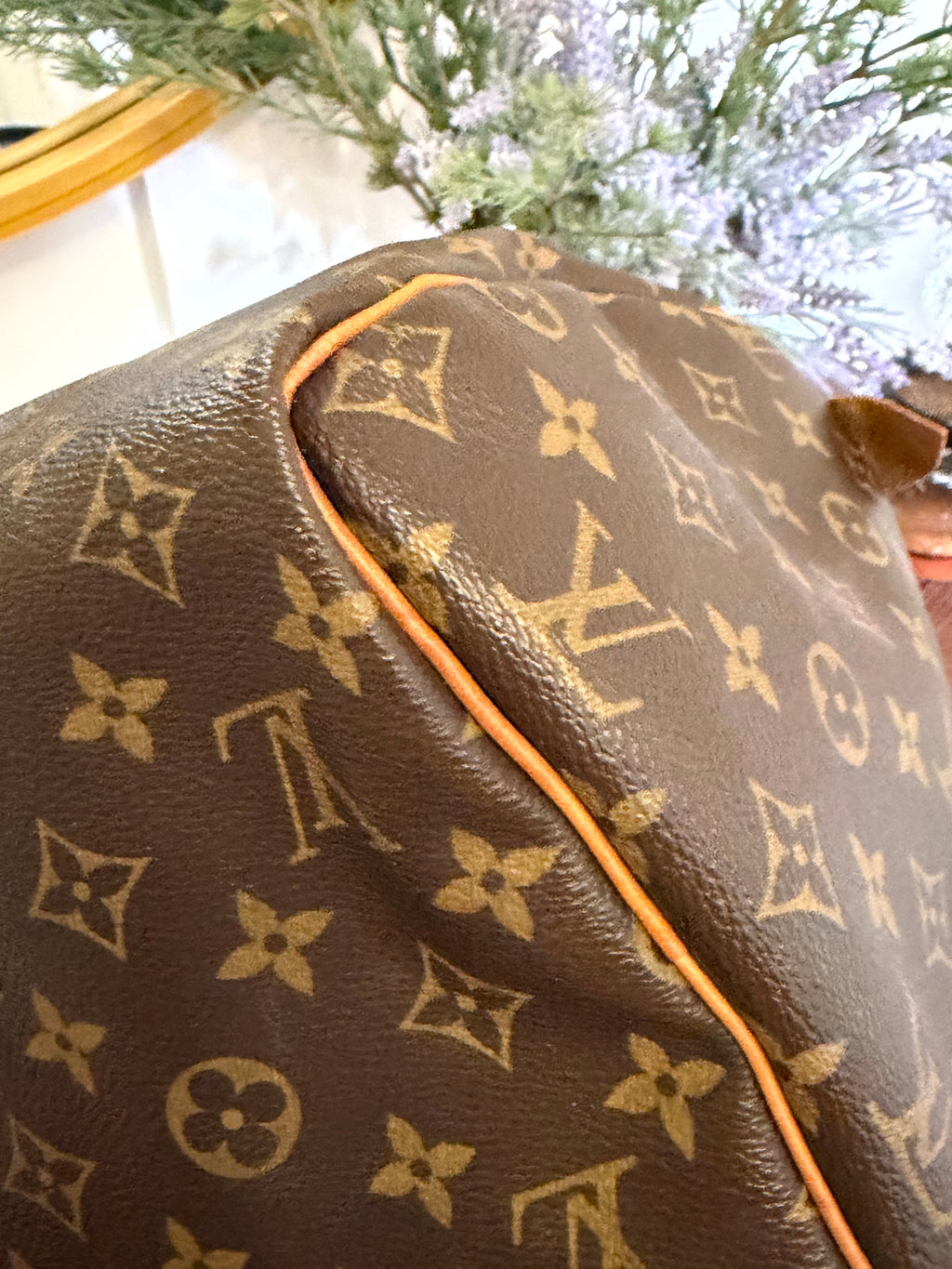 Louis Vuitton Pre-loved Monogram Speedy 30 and Cosmetic Pouch Bundle Deal