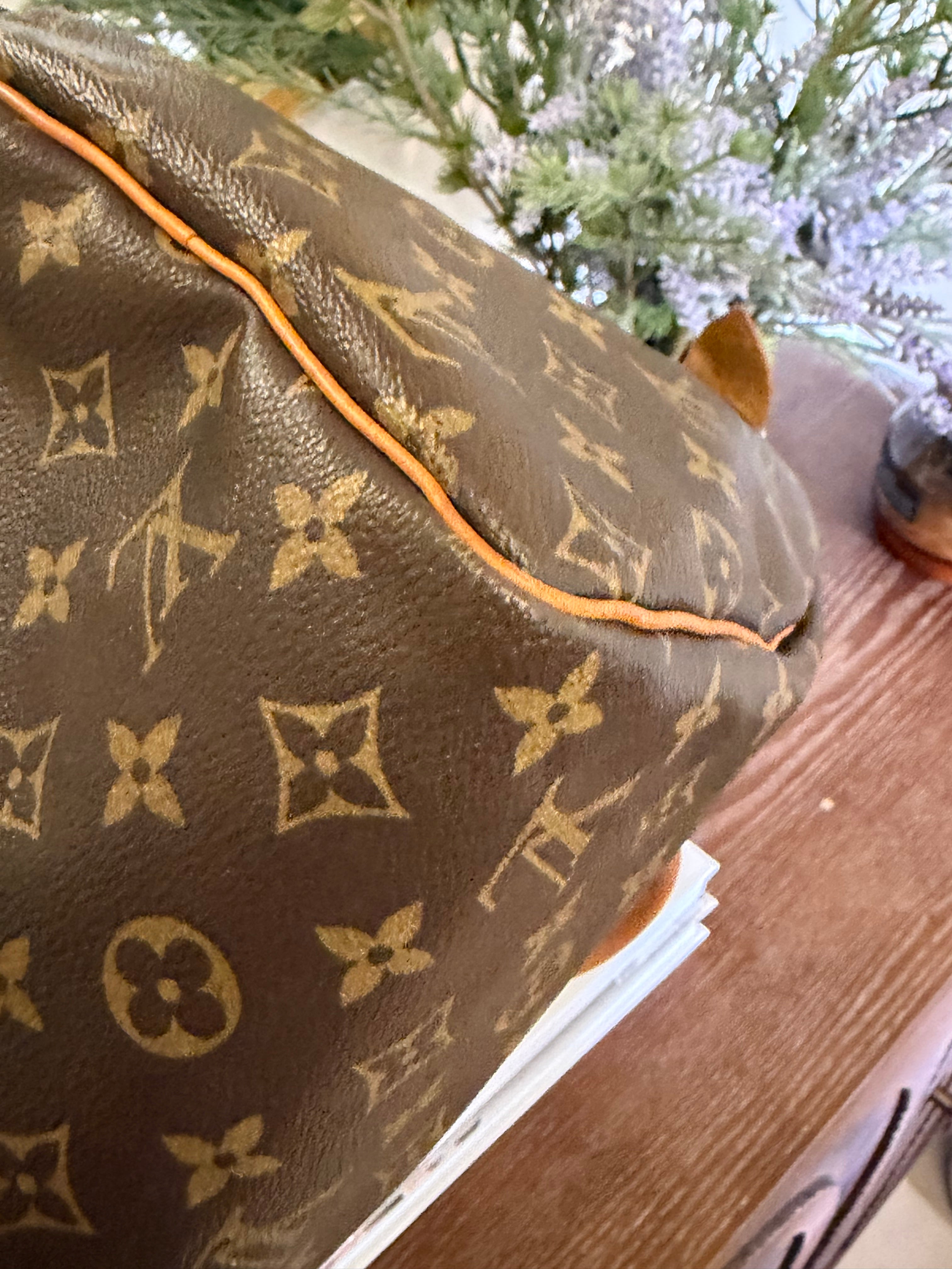 Louis Vuitton Pre-loved Monogram Speedy 30 and Cosmetic Pouch Bundle Deal